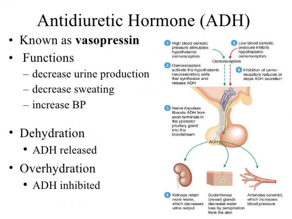 allopurinol 300 mg bijsluiter allopurinol azathioprin 50 mg