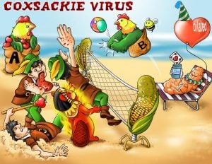 coxsackie-virus_5728_1484692765