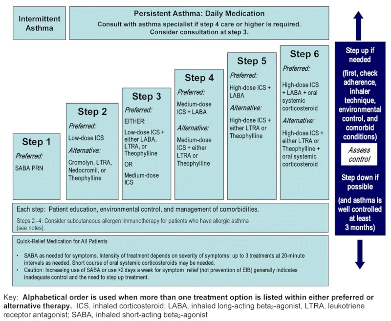 Stepwise approach for managing asthma