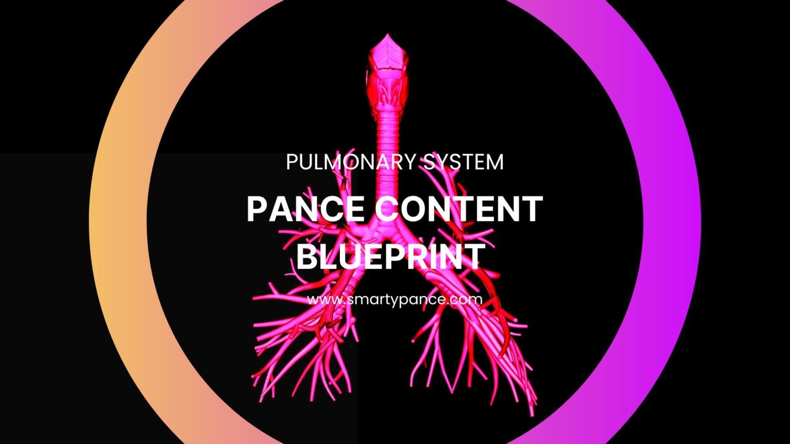 20242025 PANCE Pulmonary System Content Blueprint Study Guide Smarty