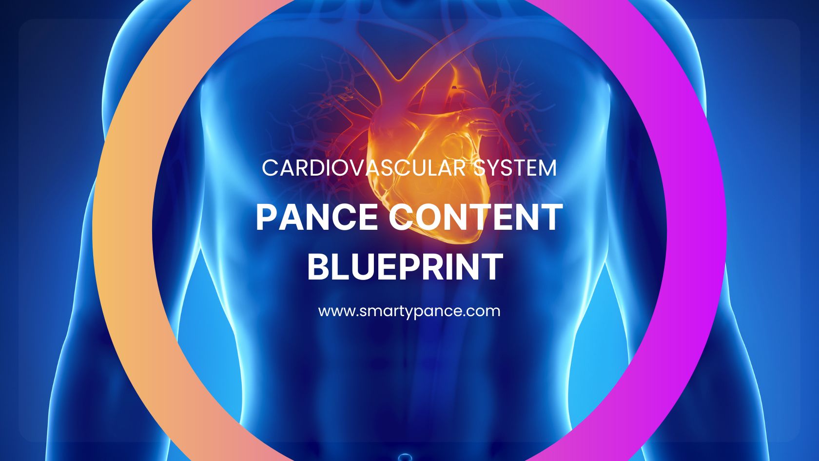 Smarty PANCE Cardiovascular System PANCE Content Blueprint Study Guide