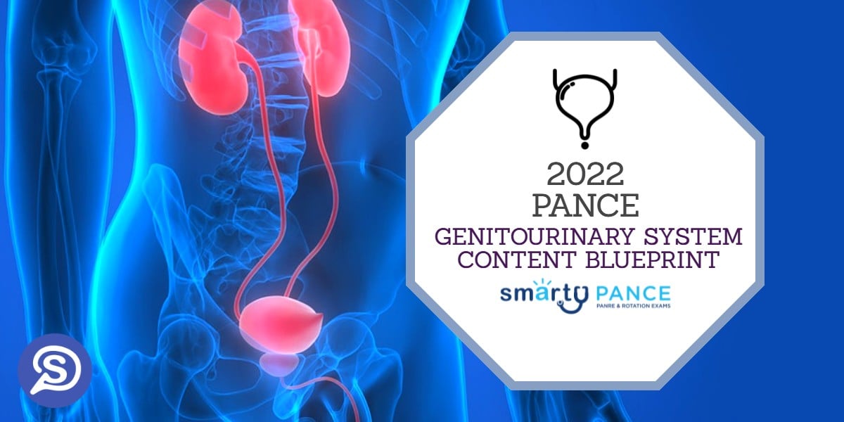 2022-2023 Physician Assistant National Certifying Exam (PANCE) Genitourinary System (Male and Female) Content Blueprint – Smarty PANCE