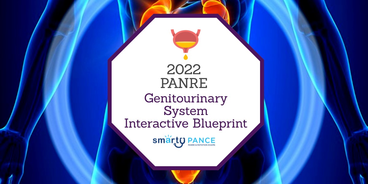 2022-2023 Physician Assistant National Recertification Exam (PANRE) Genitourinary System (Male and Female) Content Blueprint – Smarty PANCE