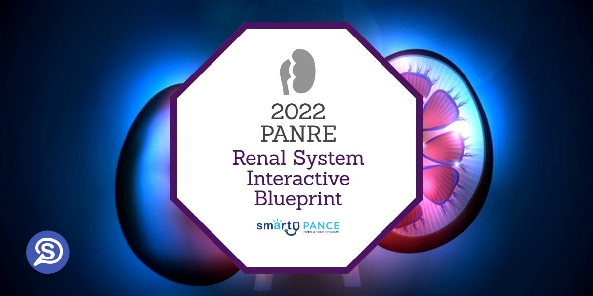2022-2023 Physician Assistant National Recertification Exam (PANRE) Renal System Content Blueprint – Smarty PANCE