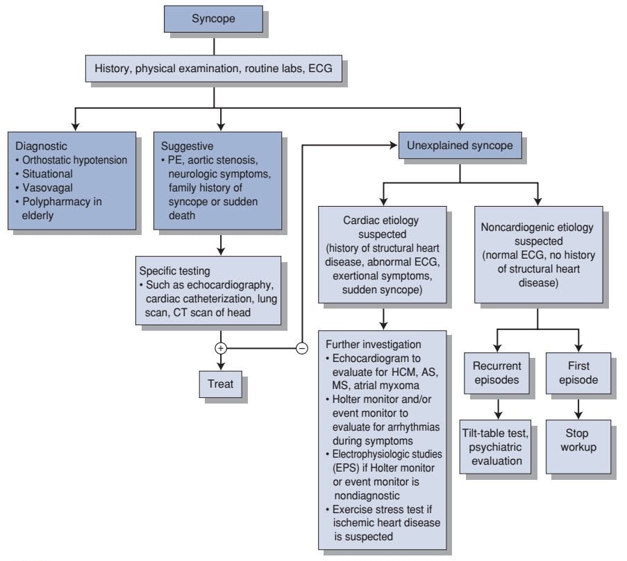 Vascular Disorders (PEARLS) | SMARTY PANCE