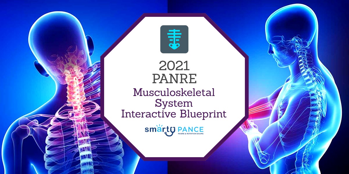 2021 Interactive Musculoskeletal System Content Blueprint for the Physician Assistant National Recertifying Examination (PANRE)