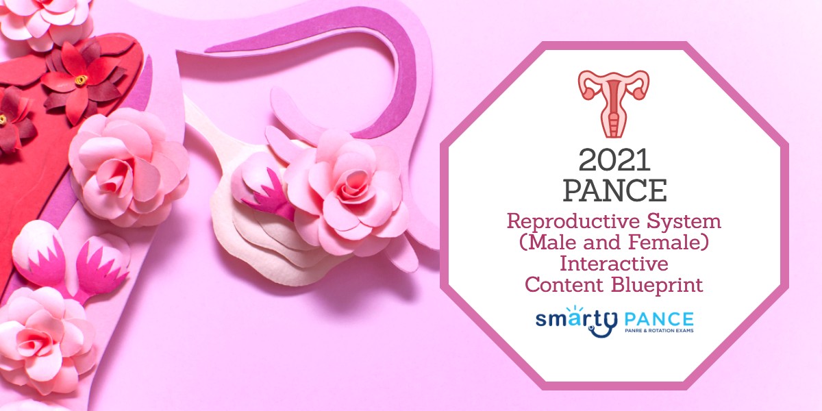 Smarty PANCE 20242025 Reproductive System Content Blueprint and
