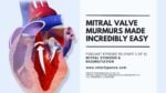 Mitral Valve Murmurs Made Incredibly Easy - Audio PANCE and PANRE PA Board Review Podcast